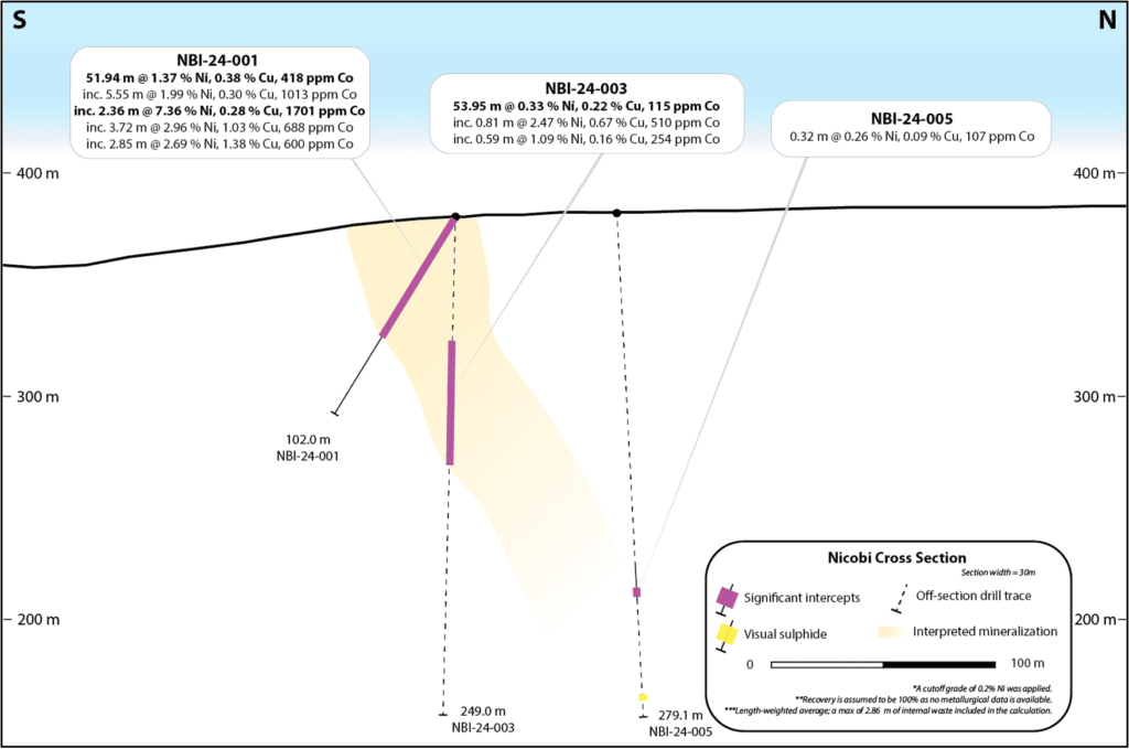 Figure 2. Cross section displaying significant drill intercept and interpretated mineralized body. Note holes NBI-24-003 & 005 are off section and dips are apparent.