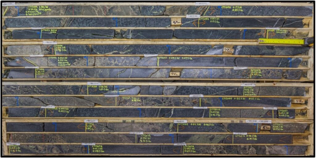 Figure 3. Image of mineralized drill core from hole NBI-24-001. Boxes contain drill core from 37.0 m to 54.0 m.